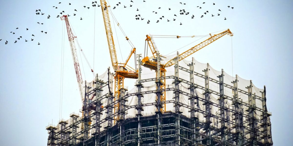 cranes birds and building
